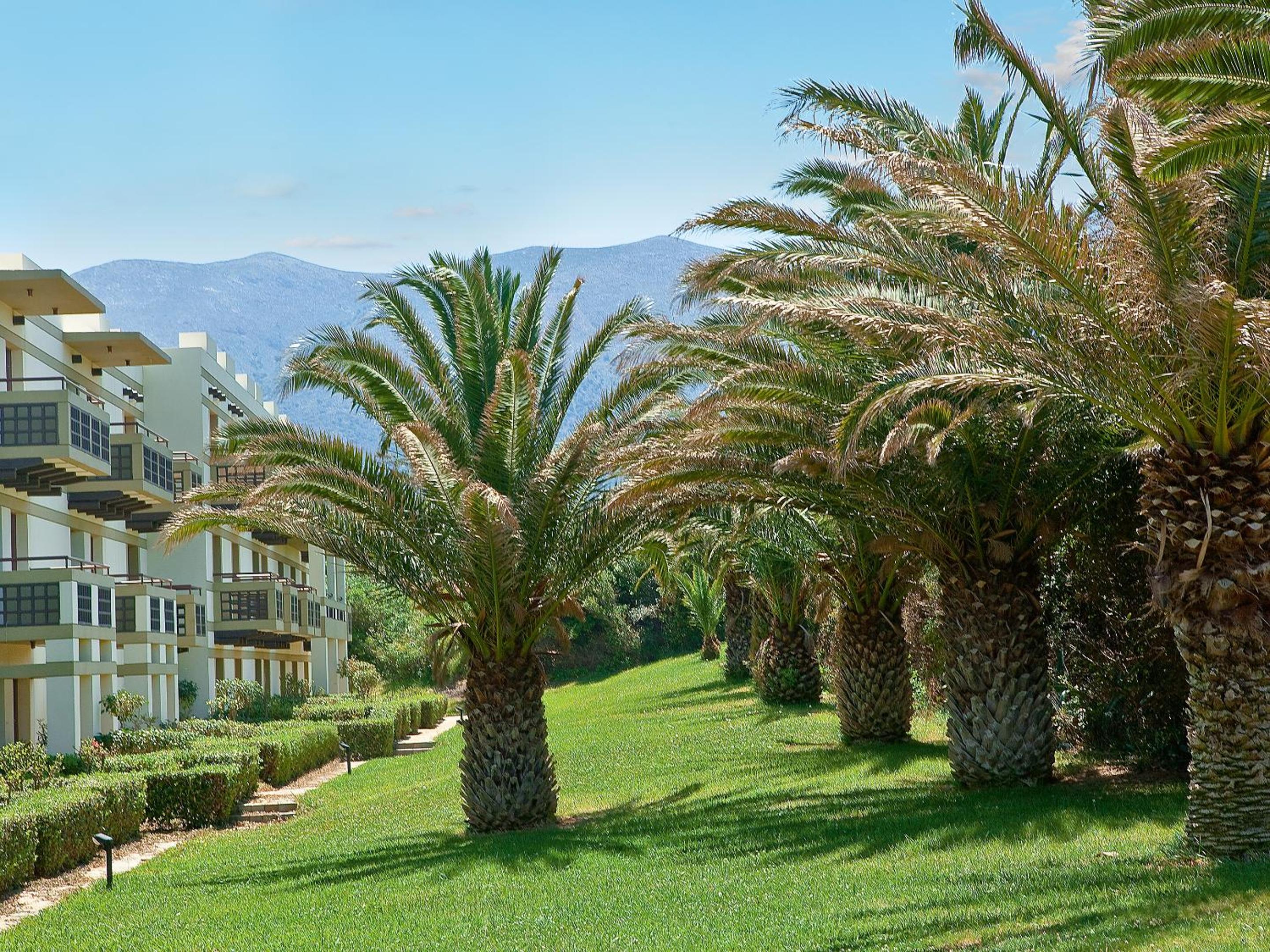 جناح بإطلالة على الحديقة بغرفة نوم واحدة