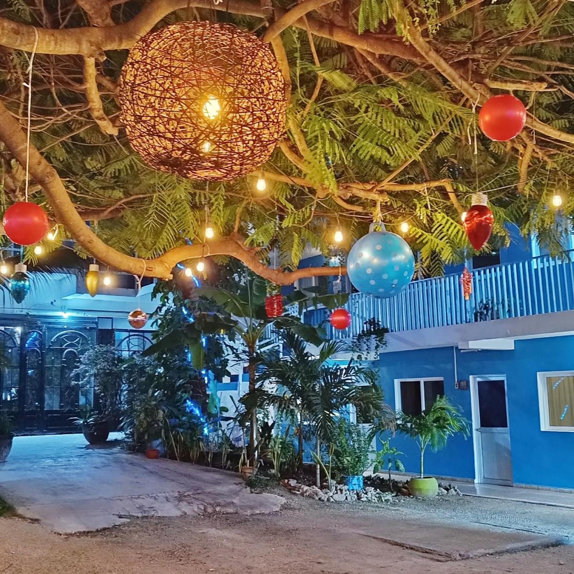 Blue Coconut Cancun 40/52