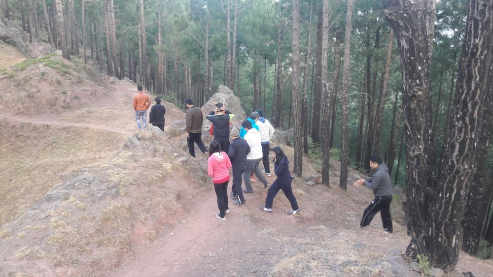 Fortune Select Forest Hill Kasauli 25/30