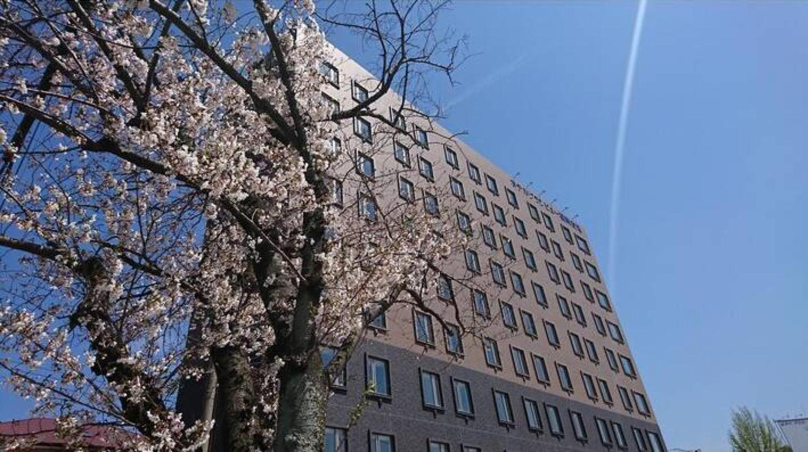 Hotel GranView Fukuoka Airport 3/42