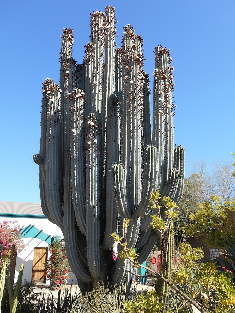 Obesa Lodge 2/47