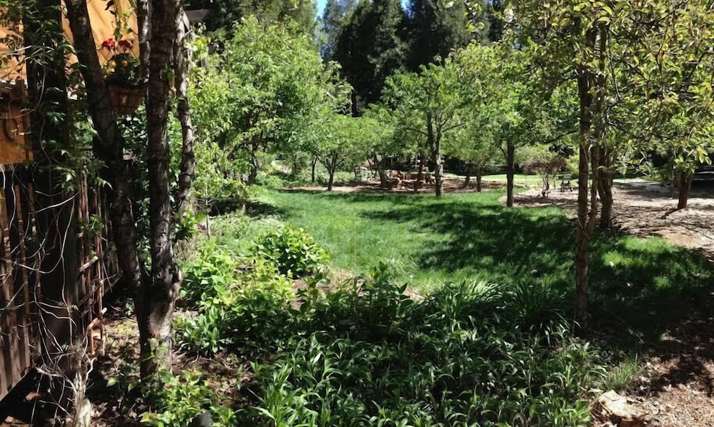 Harmony Ridge Lodge 10/35