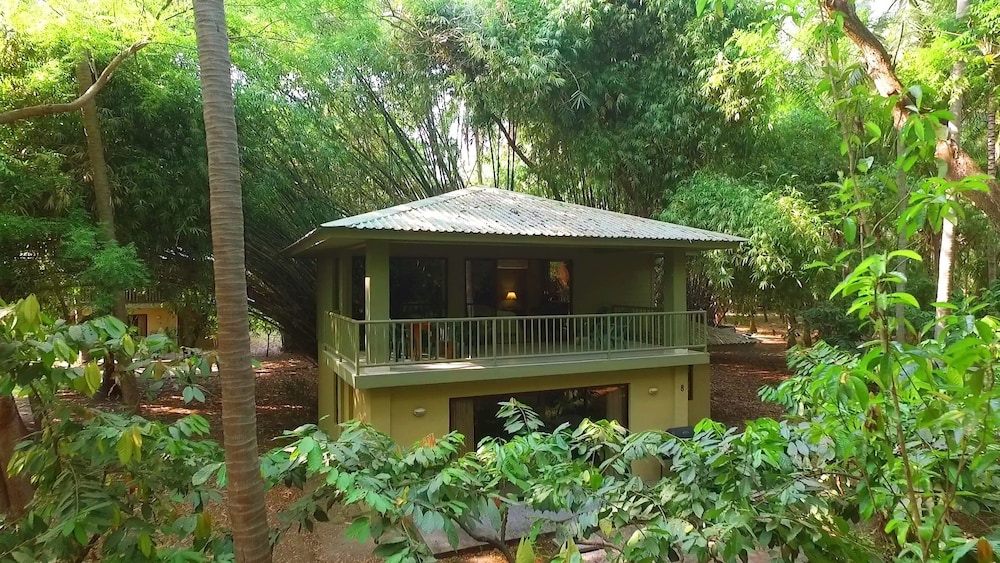 Puerto Barillas 4/48