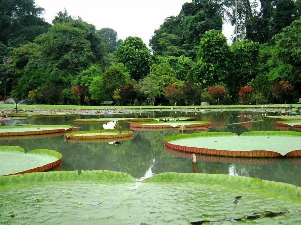 Bigland Sentul Hotel and Convention (ex Olympic Renotel Sentul) 49/50