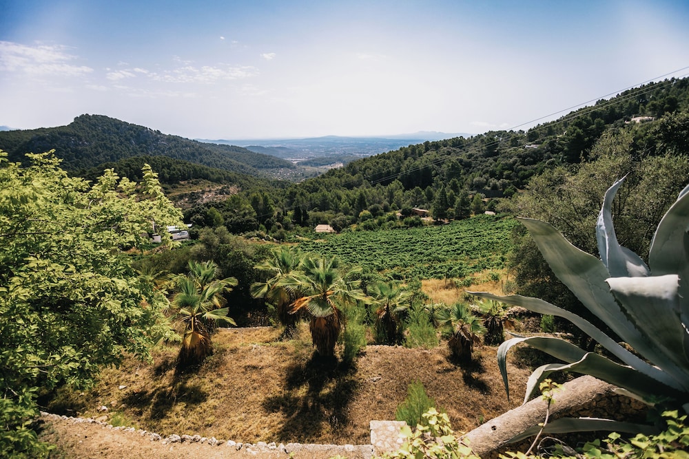 LA POSADA DEL MARQUES 47/50
