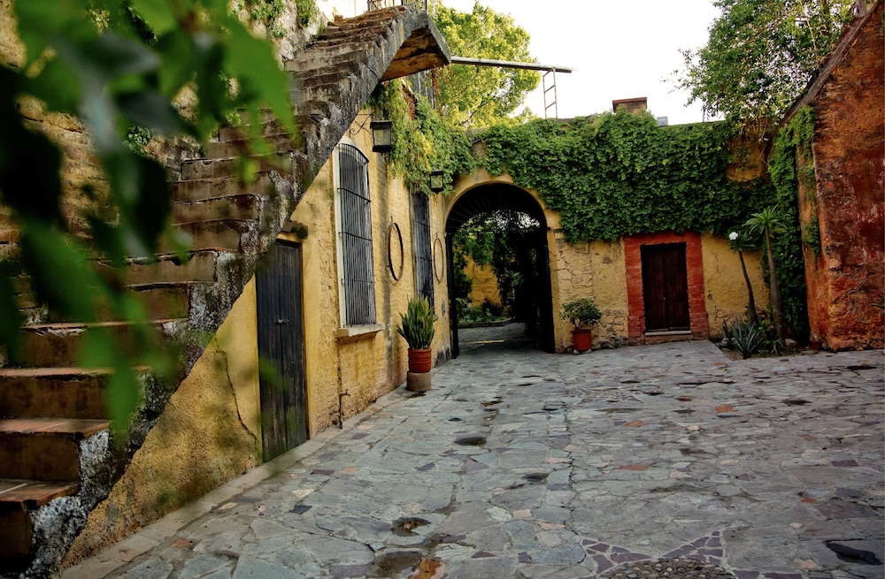 Hacienda El Carmen Hotel and Spa 41/50
