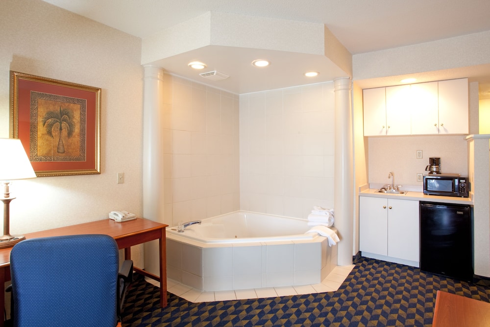 Holiday Inn Express Hotel Suites Orangeburg 20/61