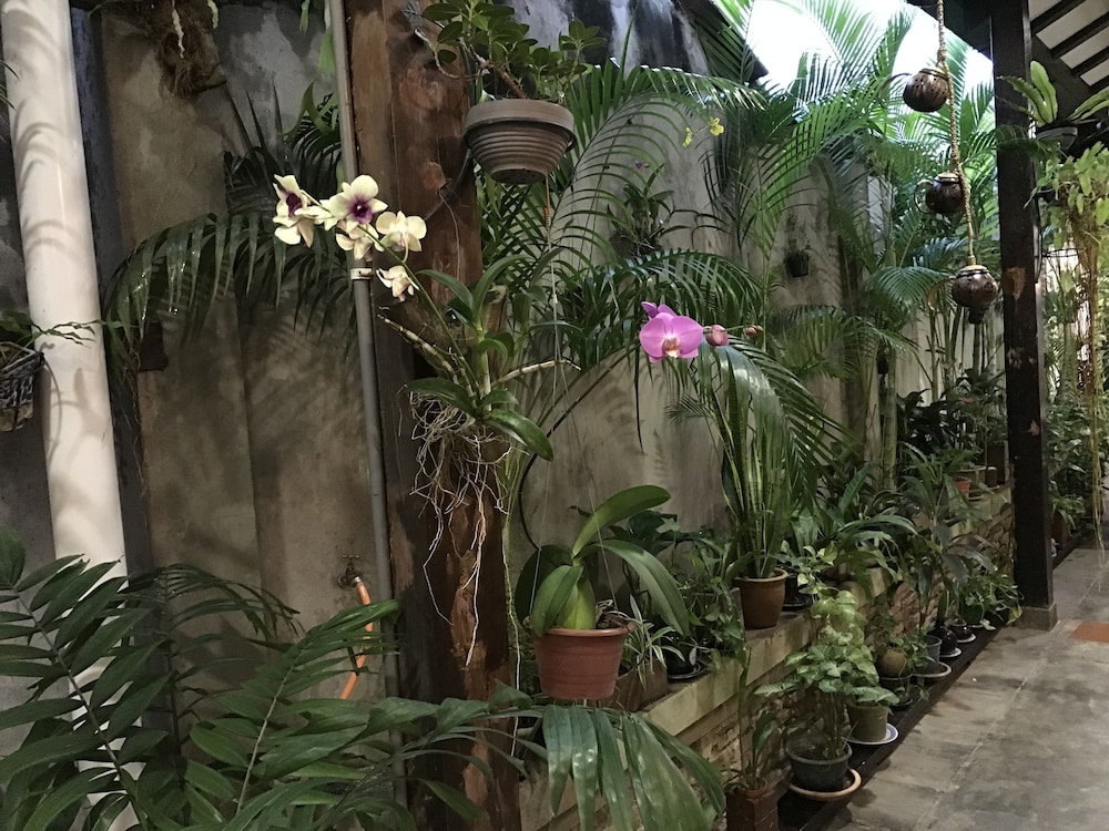 Palm Mansion Boutique Suites 48/51