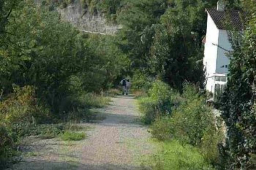 surroundings