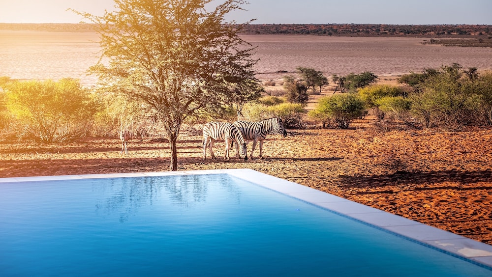 Bagatelle Kalahari Game Ranch 25/51