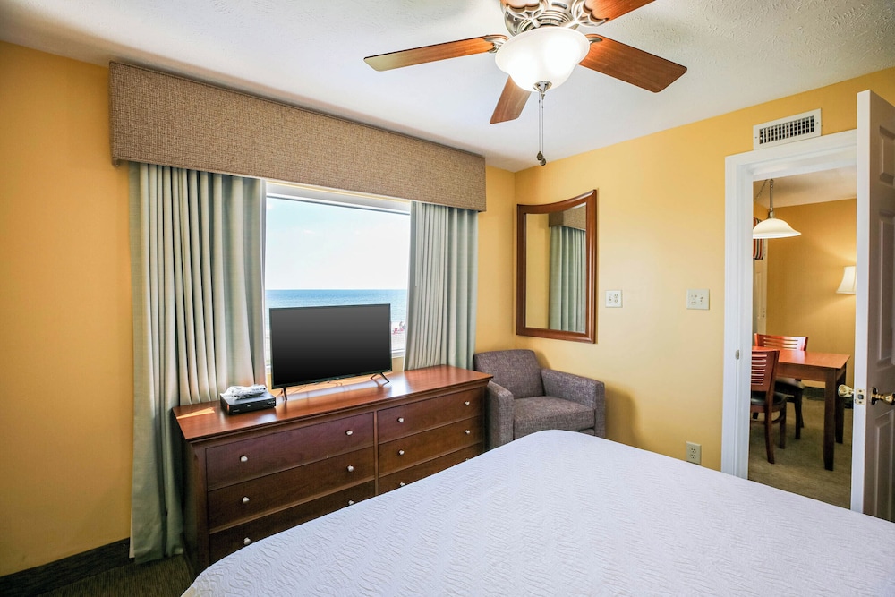 Jade Tree Cove 24/65