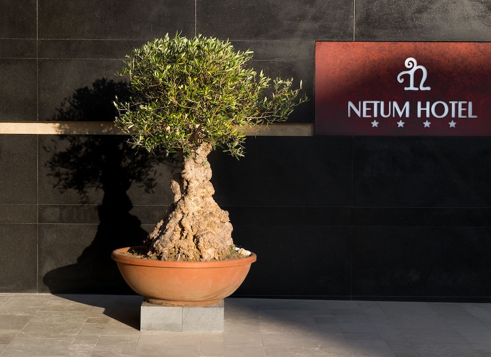 Netum Hotel 6/50