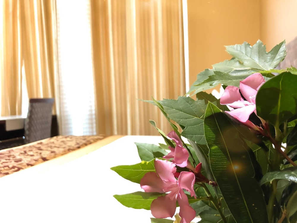 Kompleksi Arifi Hotel 9/50