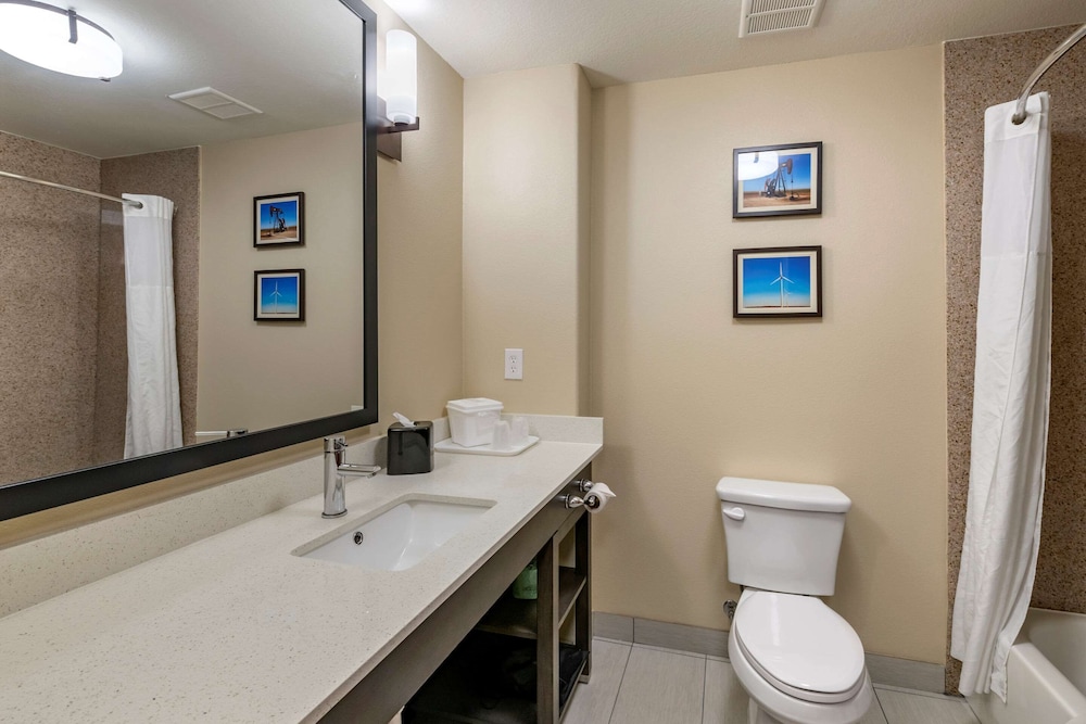 Comfort Inn & Suites Lubbock West 13/34