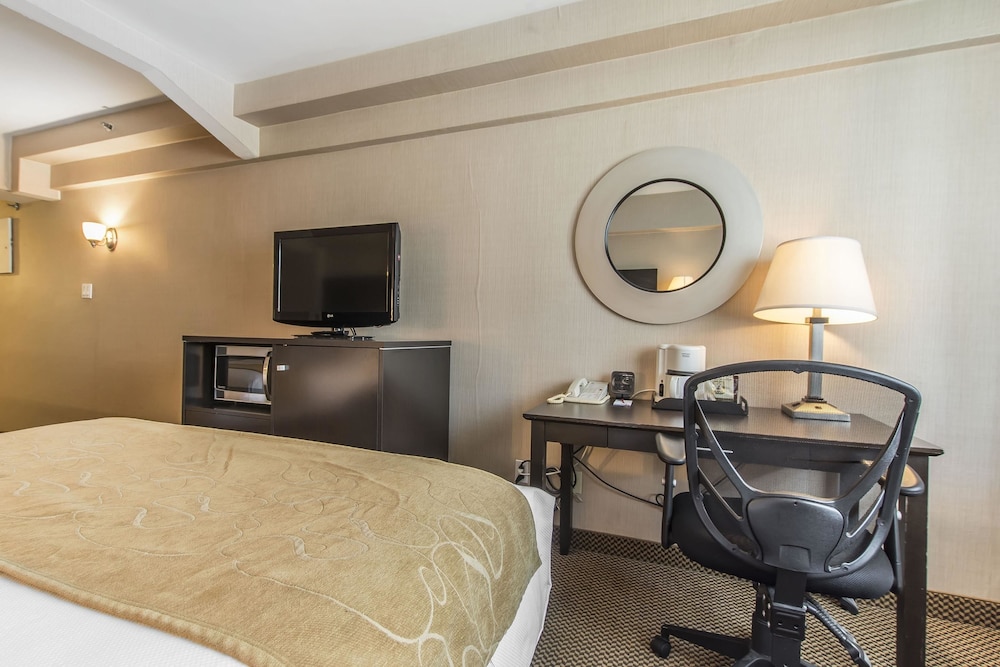 Comfort Suites Downtown Montreal 15/49