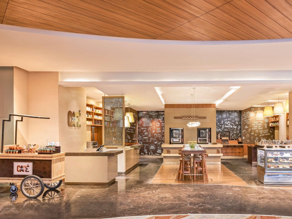Pullman New Delhi Aerocity 7/47