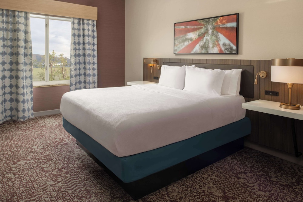 Evolution, Junior Suite, King Bed