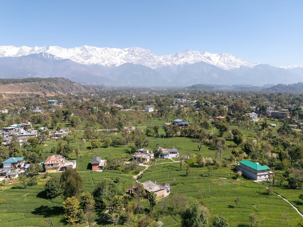 Tree Of Life Birdsong Chalets, Dharamshala 43/50
