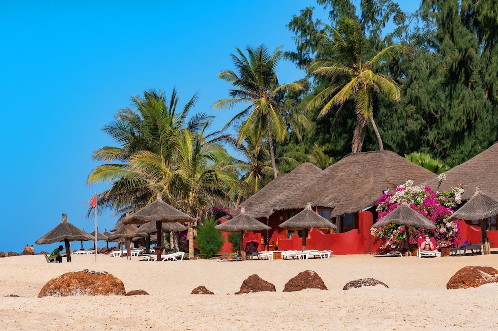 Royal Horizon Baobab 6/64