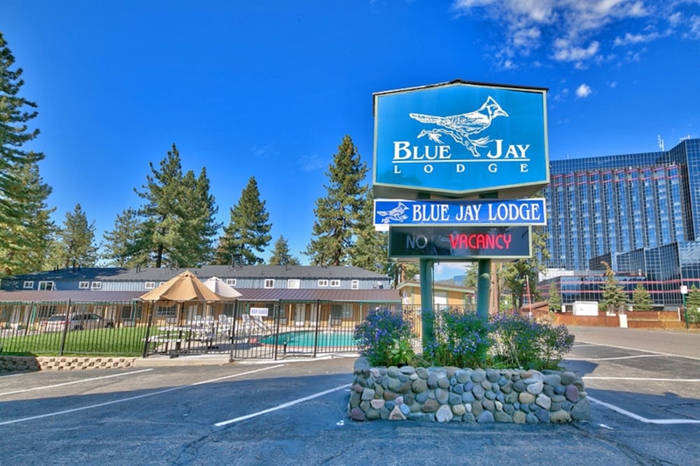 Blue Jay Lodge 2/50
