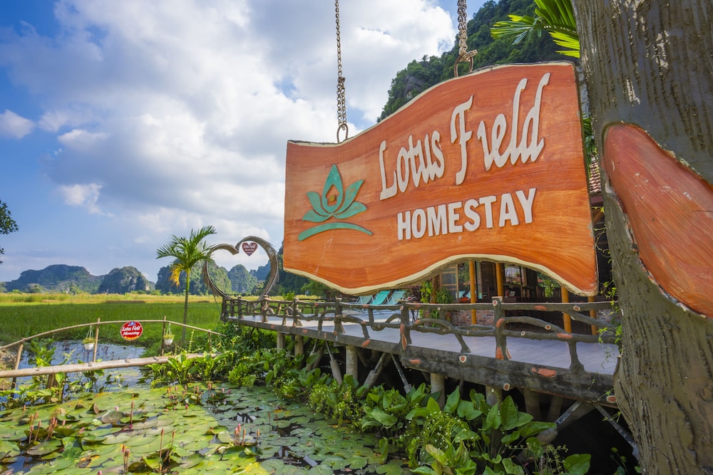 Lotus Field Homestay 5/50