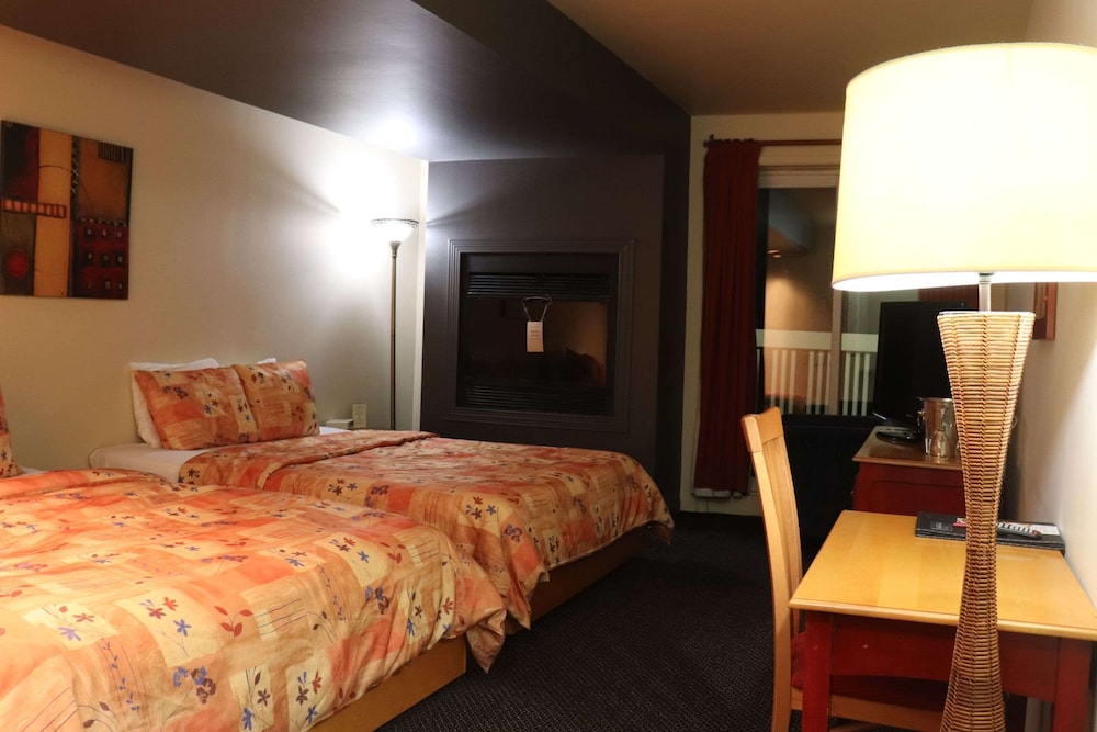 Auberge La Camarine 17/50