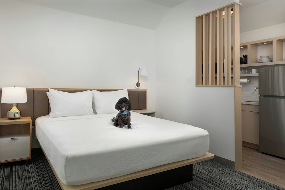 Extended Stay America Annapolis - Admiral Cochrane Drive 19/56
