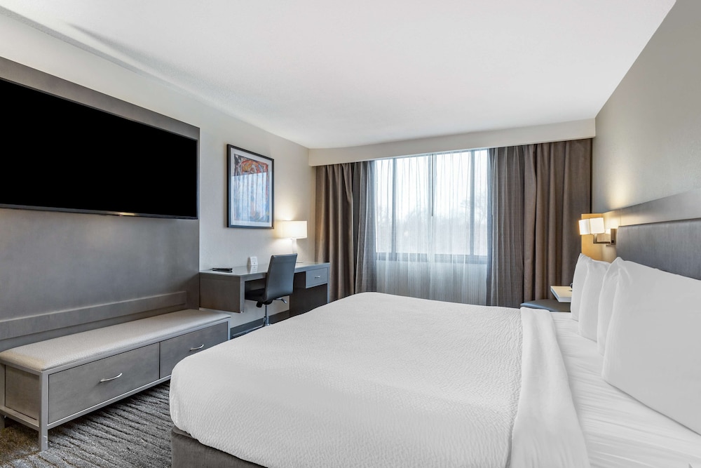 Standard, King Bed, Accessible