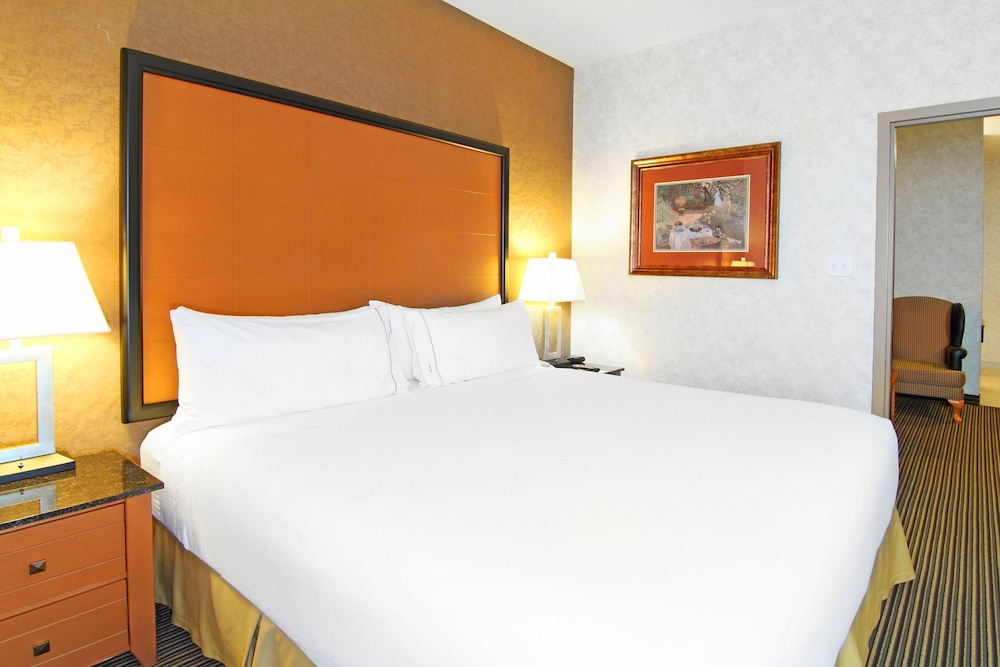 Holiday Inn Express Hotel Suites Calgary South Macleod Trail S 16/73