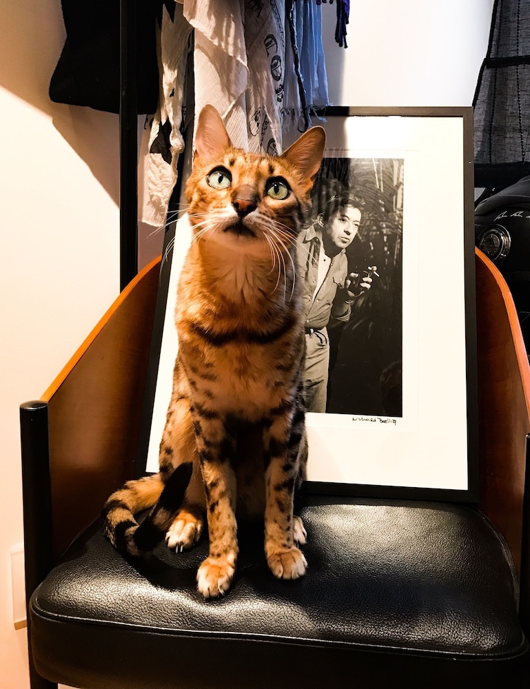 ホテル ド パリ 写真3