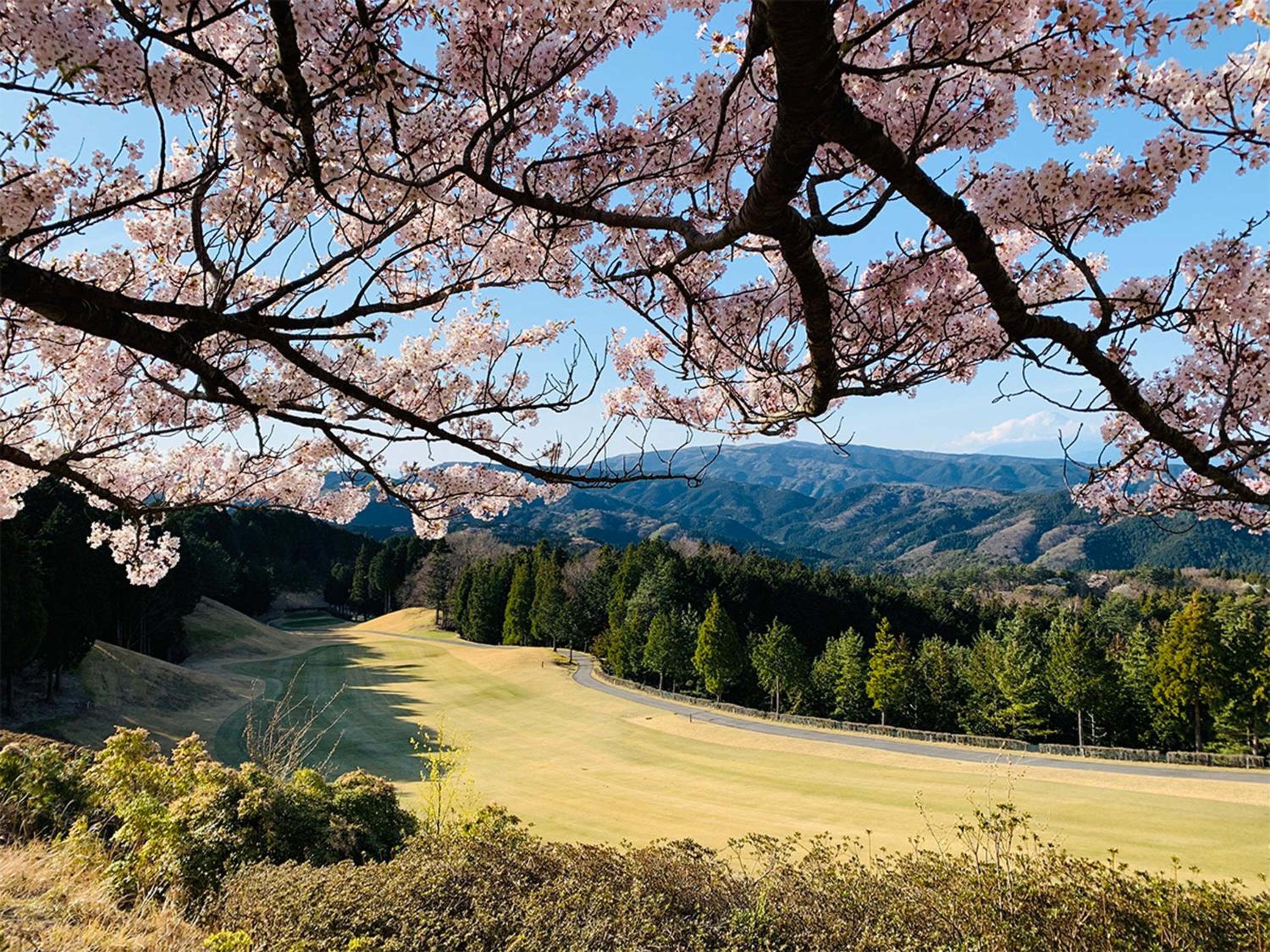 Yugashima Golf Club & Hotel Toen 46/50