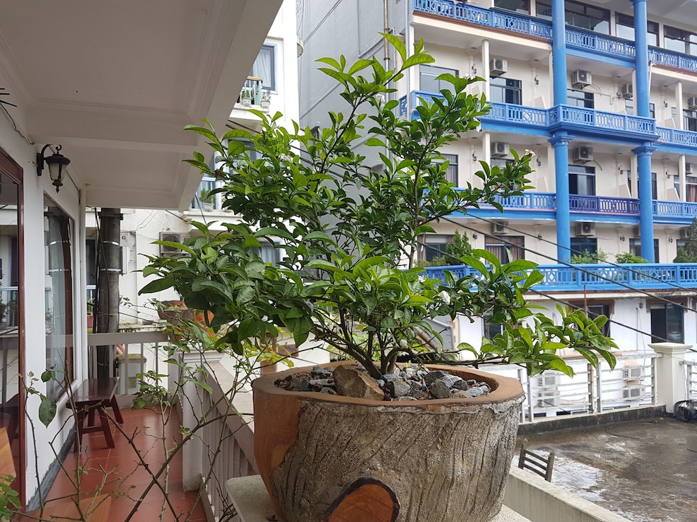 Botanic Sapa 8/58