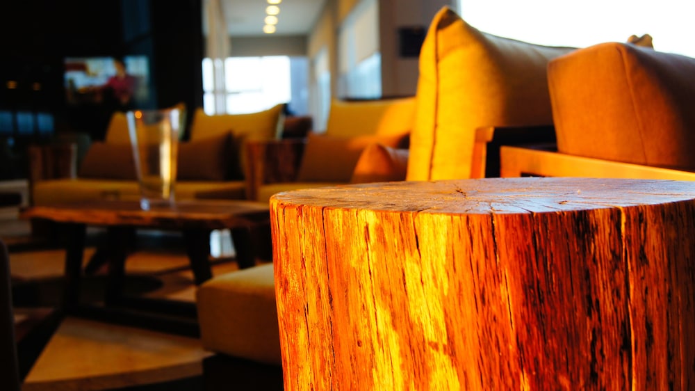 希尔顿花园酒店Boca Del Rio Veracruz(Hilton Garden Inn Boca Del Rio Veracruz) 图片5