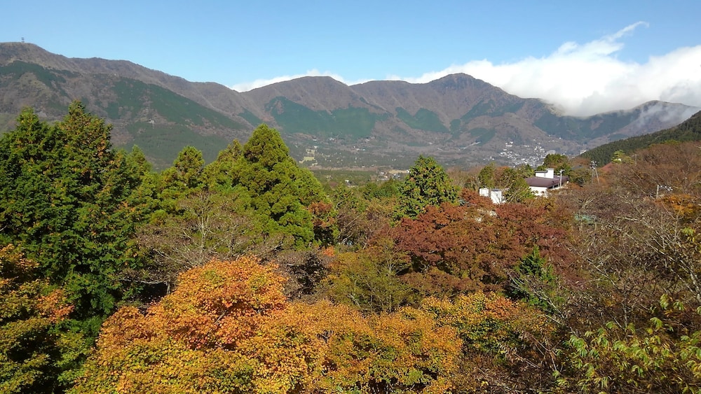 Choju-Yu Hakone 49/52