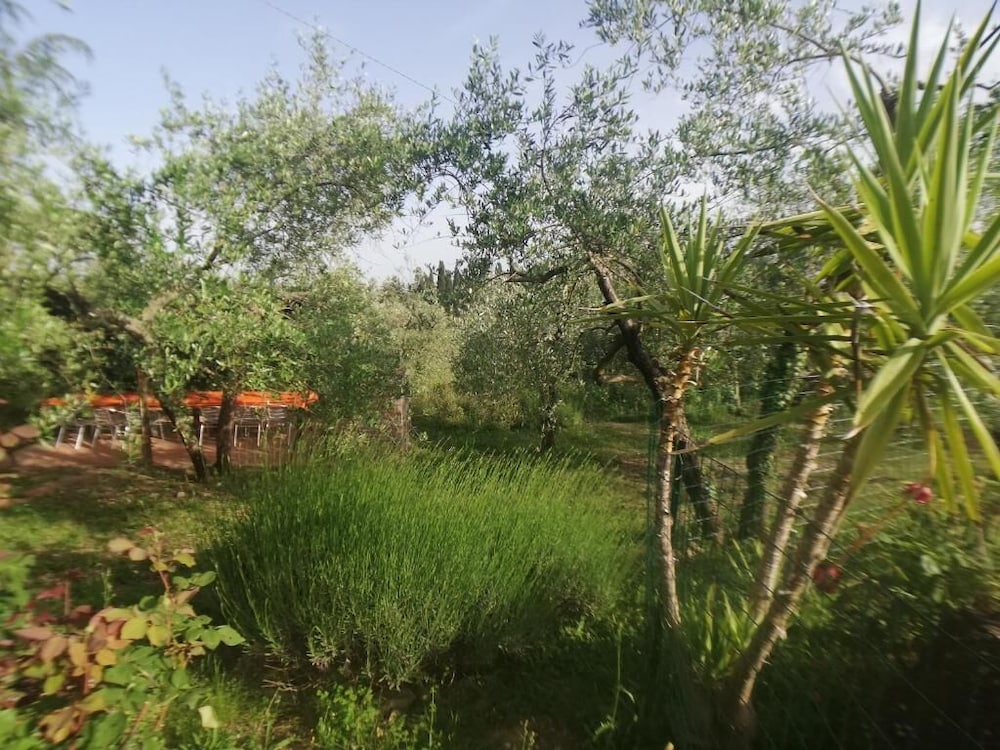 Agriturismo Crocino in Chianti 28/47