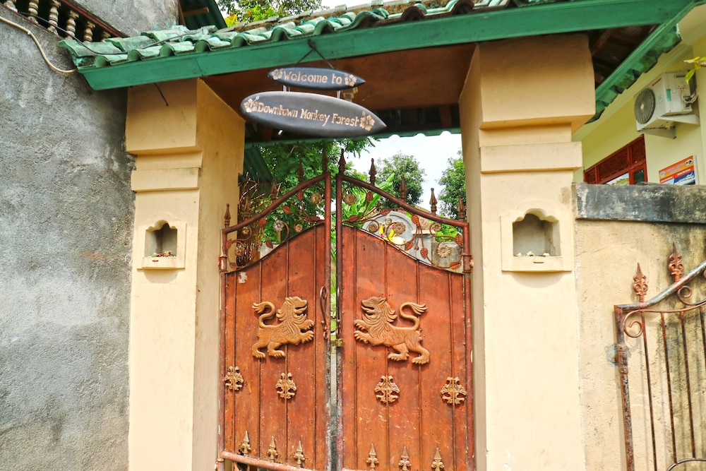 Downtown Monkey Forest - Hostel 11/58