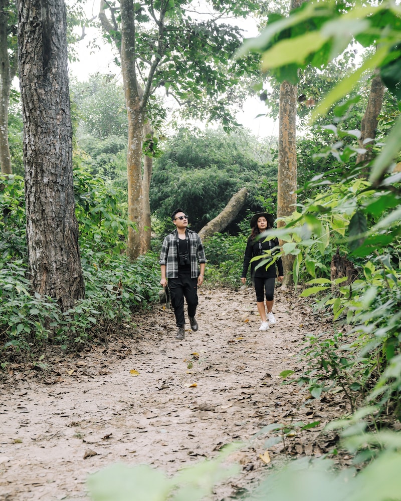 Kasara Jungle Resort 36/50