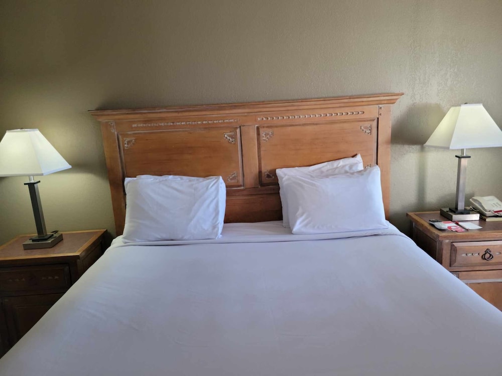 Econo Lodge Springerville 10/21
