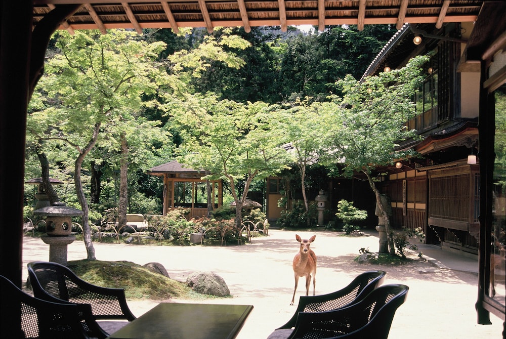 Iwaso 34/37