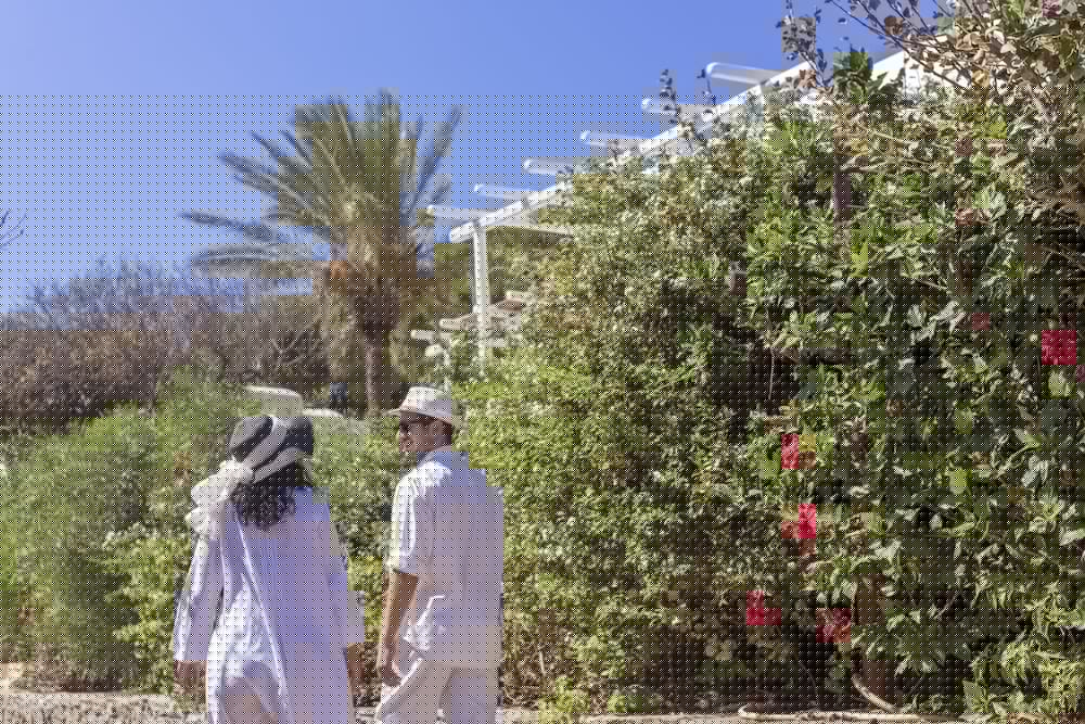 Rhenia Hotel and Bungalows in MYKONOS