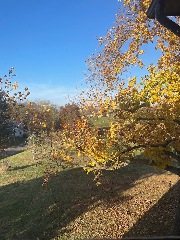 Nauvoo Grand Bed and Breakfast 43/51