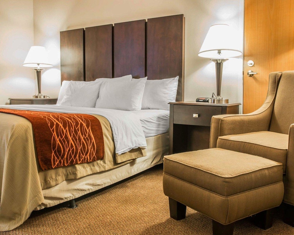 Comfort Inn and Suites Fenton MI 18/50