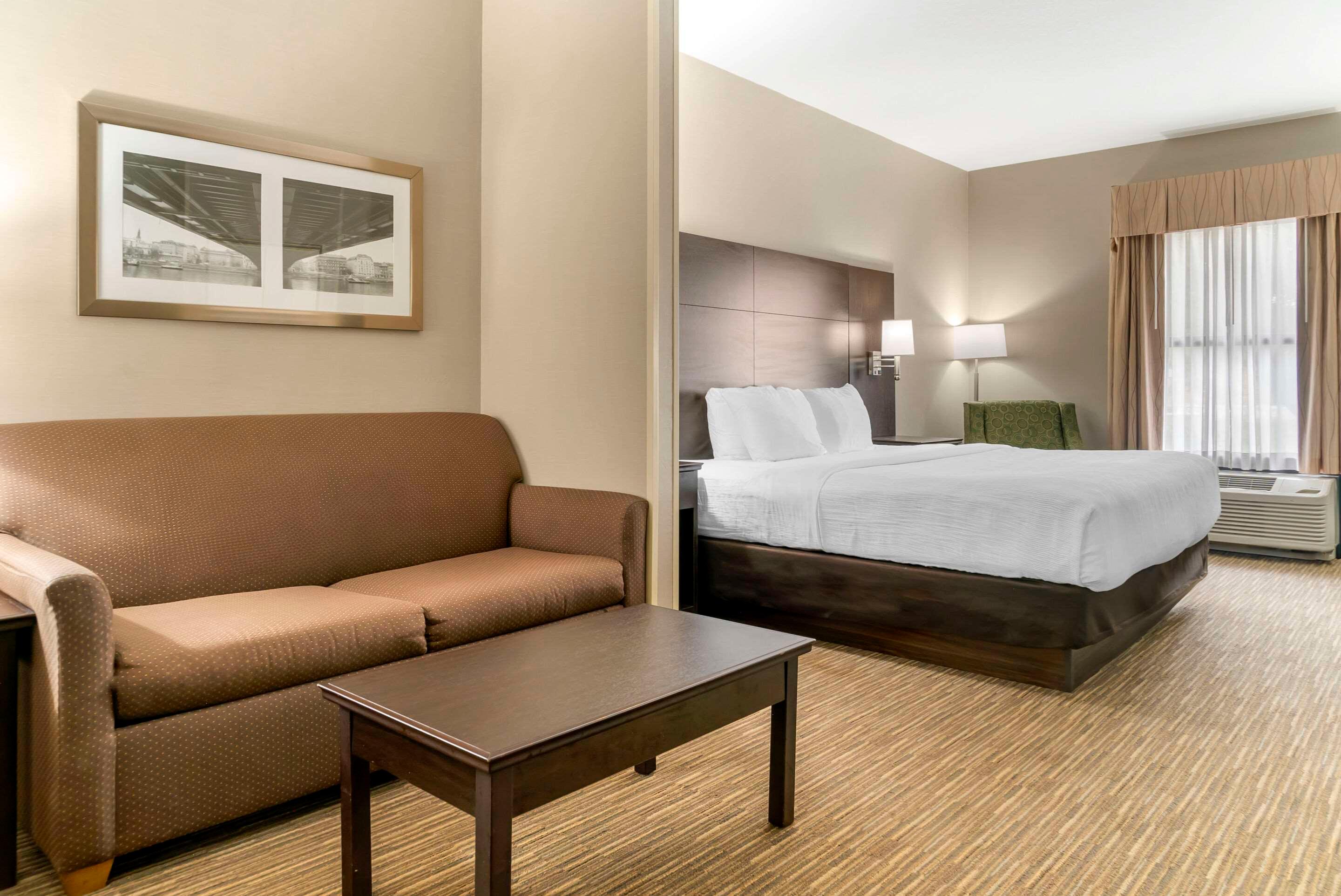 Suite, King Bed, Accessible