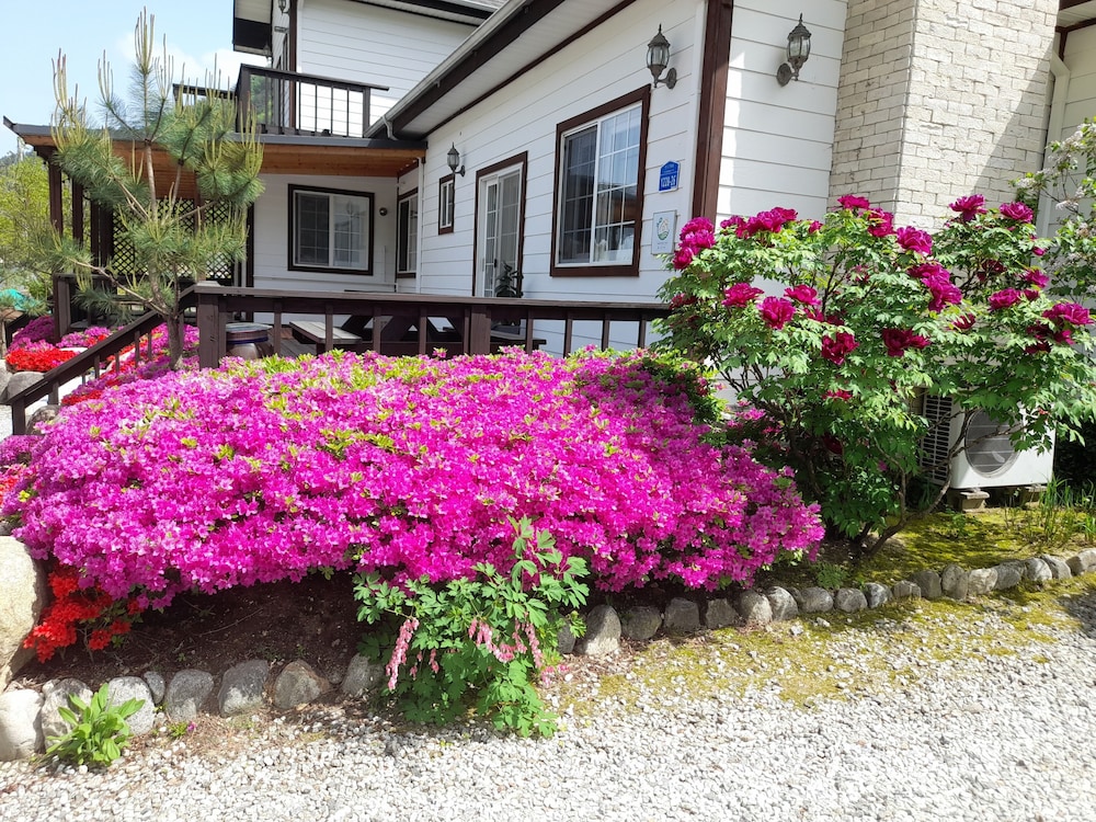 Izmir Pension 37/40