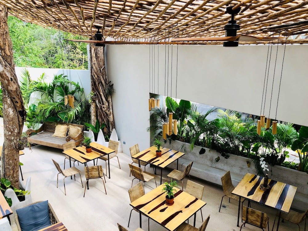 Orchid House Tulum 29/50