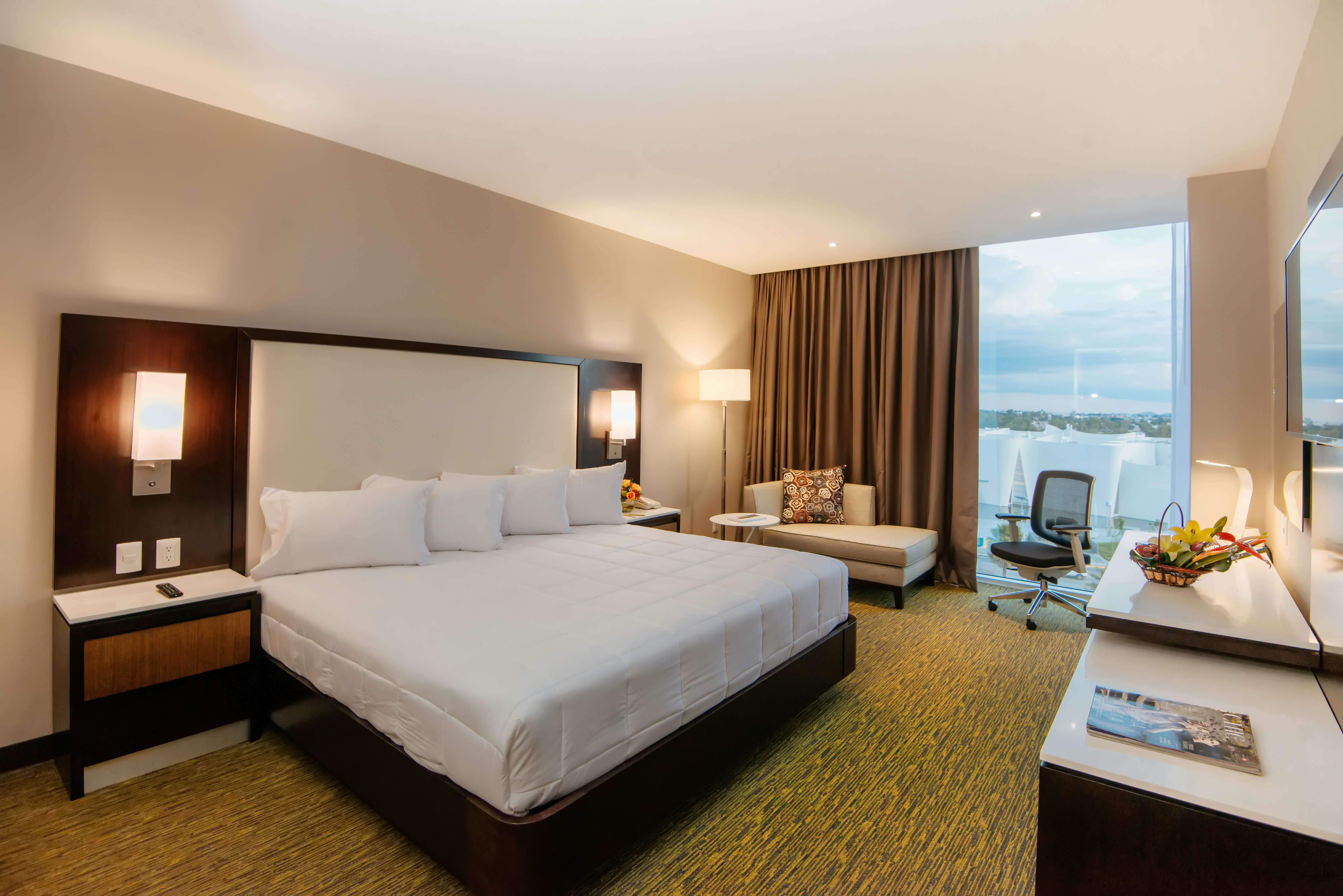 Hilton Garden Inn Puebla Angelopolis 9/50