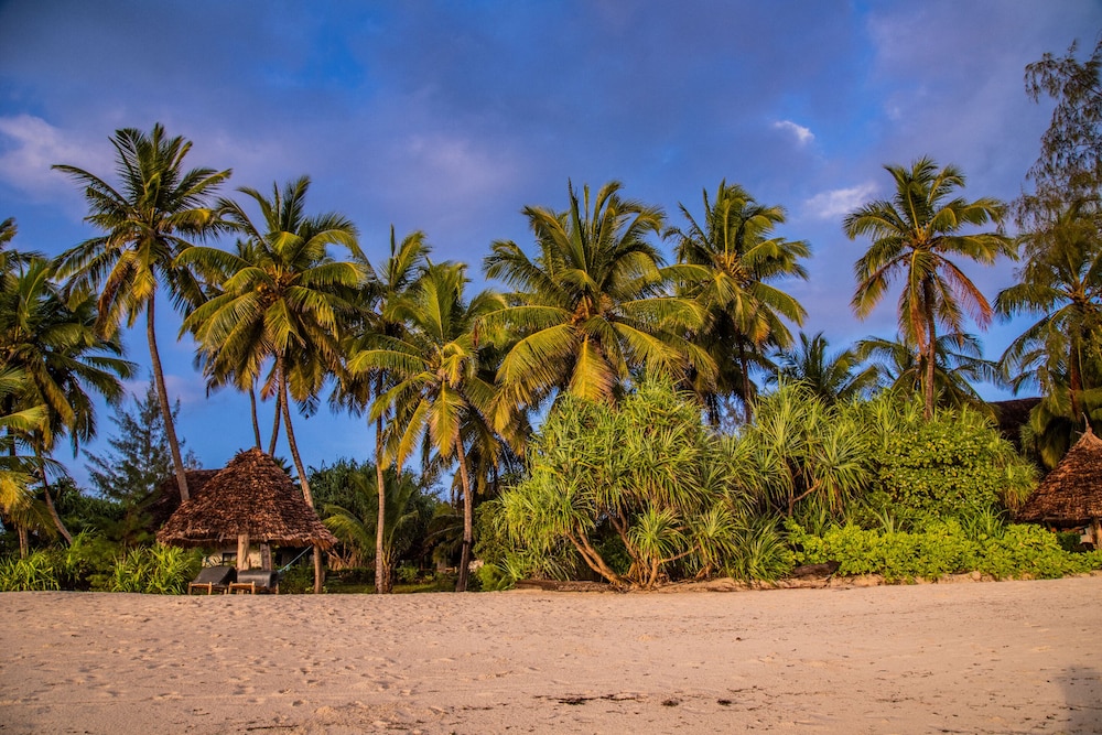Pongwe Beach Hotel 35/50