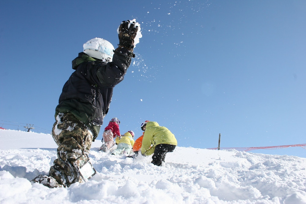 HOTEL HARVEST SKI JAM KATSUYAMA 38/72