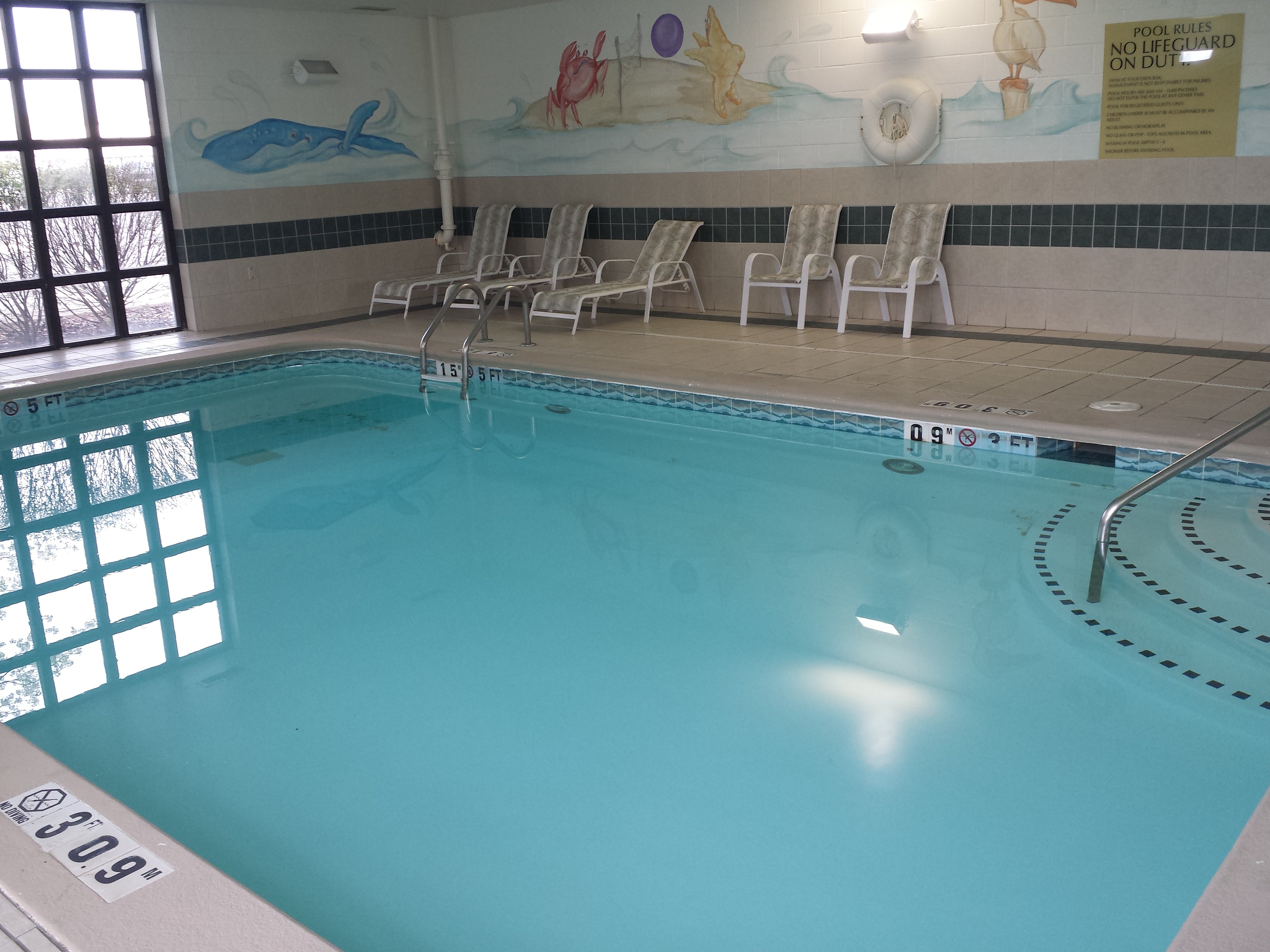 Holiday Inn Express Hotel And Suites Cincinnati Northeast Milford 29/49