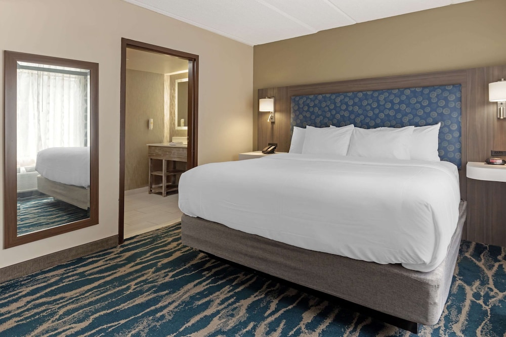 Suite, King Bed